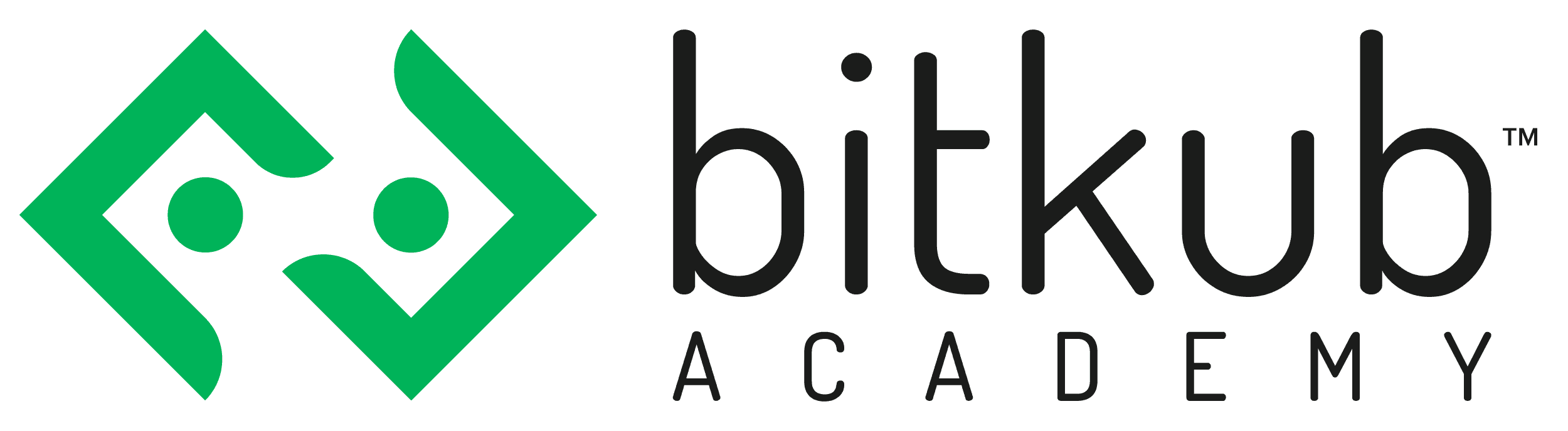 bitkub-academy-logo